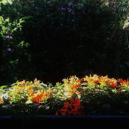 Dalat Inn Homestay 外观 照片