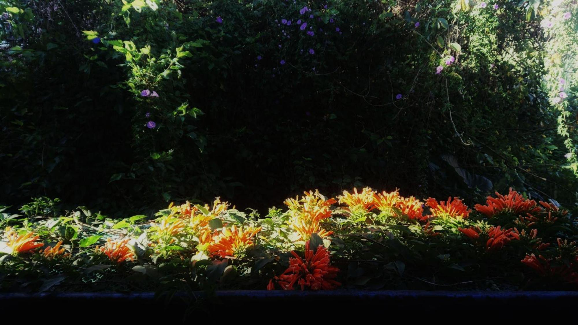 Dalat Inn Homestay 外观 照片