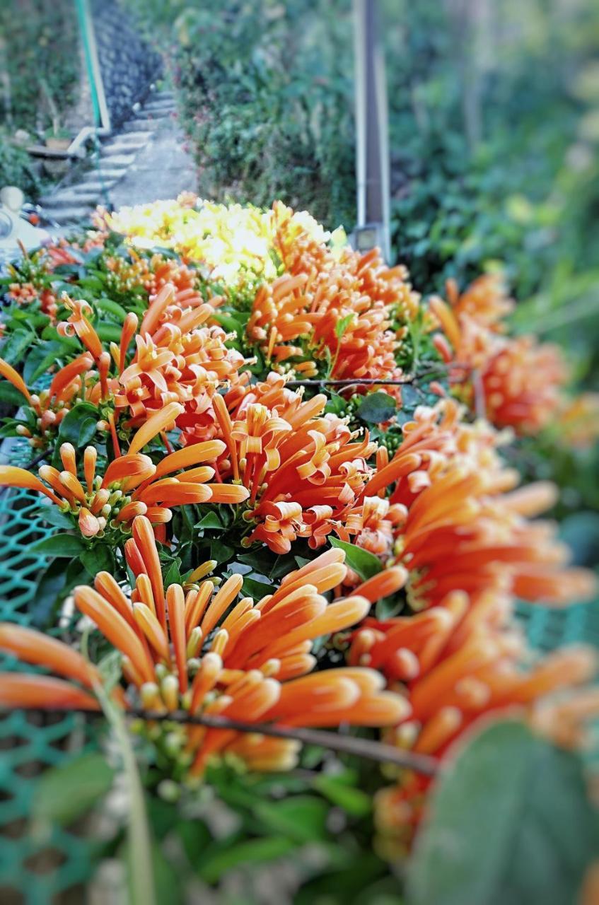 Dalat Inn Homestay 外观 照片