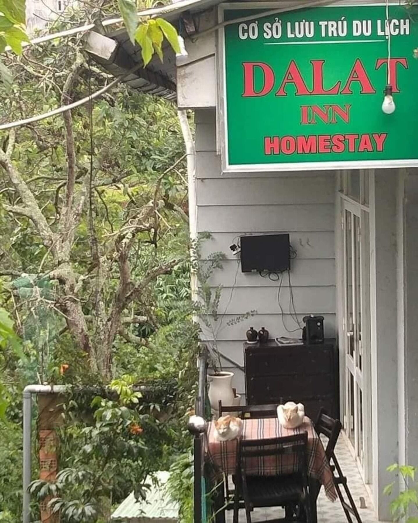 Dalat Inn Homestay 外观 照片